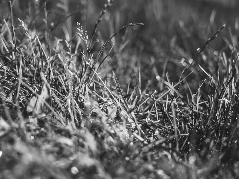 sudoku pattern recognition screenshot 5